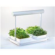 Microgreens by Leaf Learn Mini - Chytrý květináč