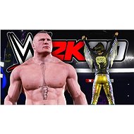 WWE 2K20 Collector's Edition - PS4 - Hra na konzoli