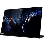 14&quot; Lenovo ThinkVision M14t Touch - LCD monitor