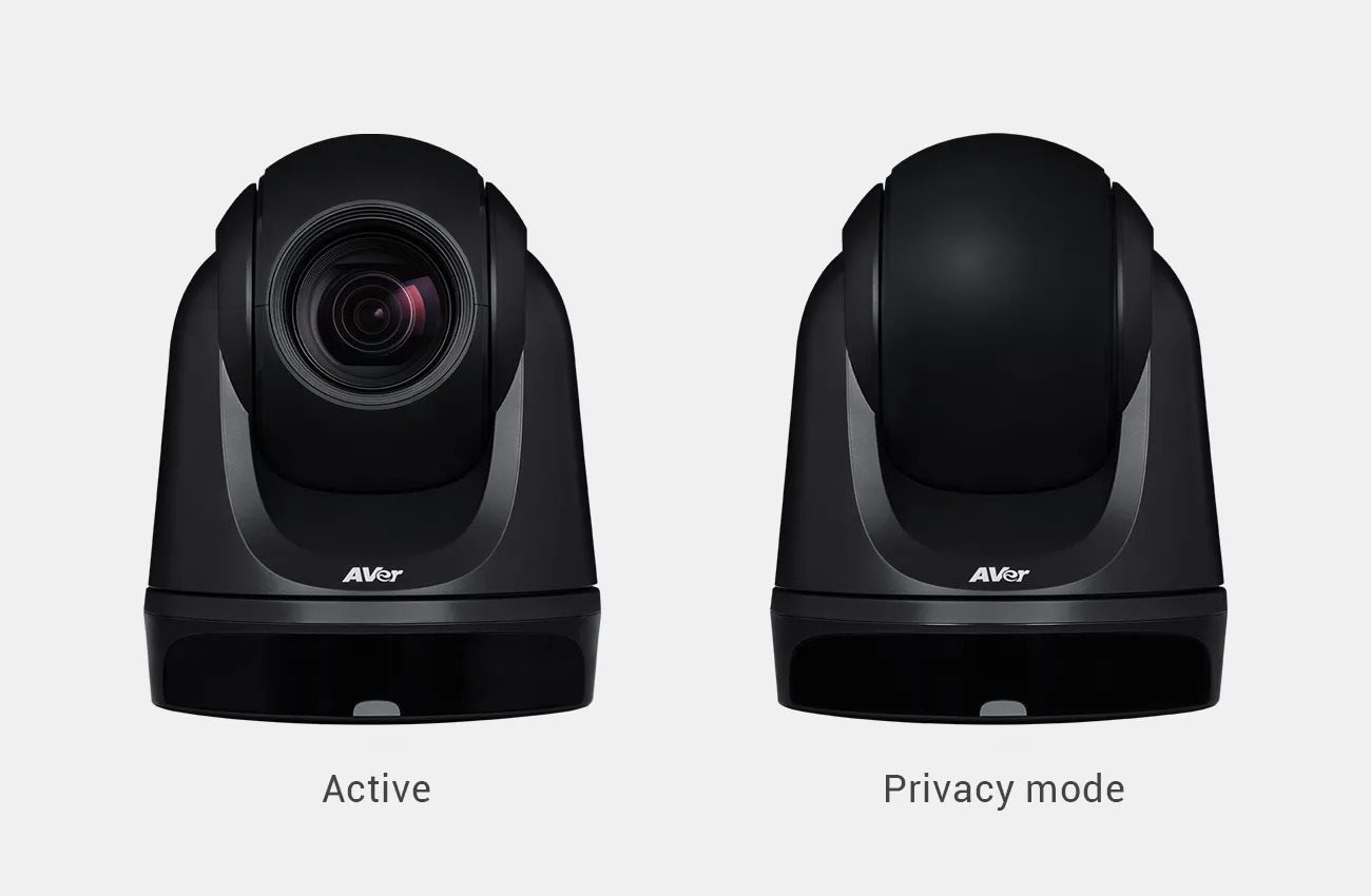 Webcam AVerMedia DL30 ...