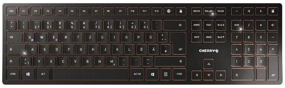 Tastatur CHERRY JD-9100CH-2 Tastatur