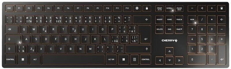 Tastatur CHERRY JD-9100PN-2 ...