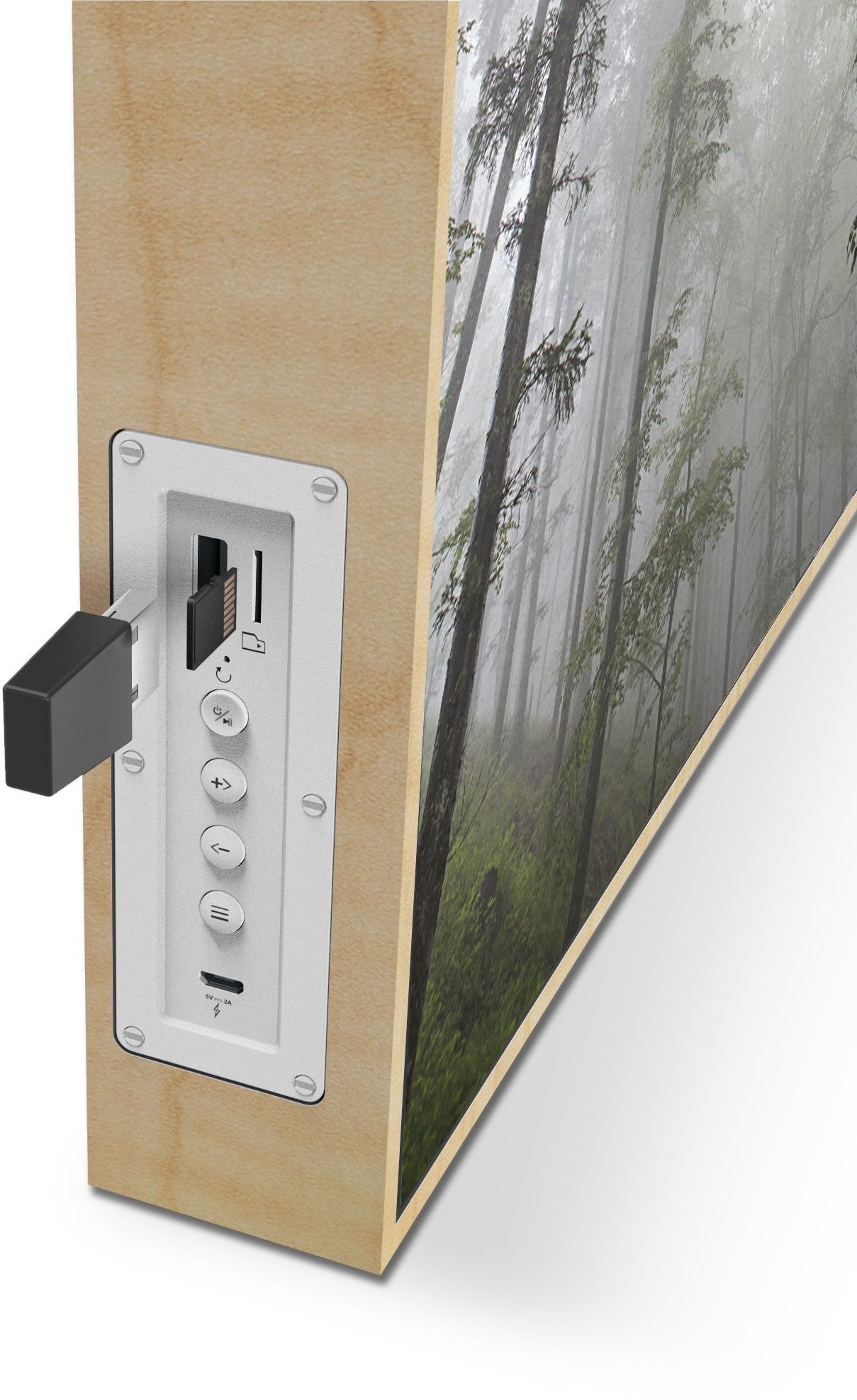 Bluetooth Speaker Energy Sistem Frame Speaker Forest Connectivity (ports)