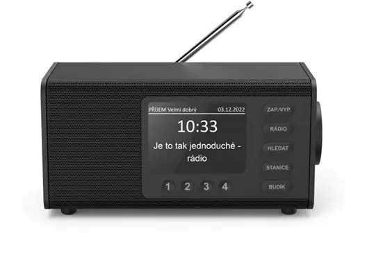 Radio Hama DR1000, FM/DAB/DAB+, black ...