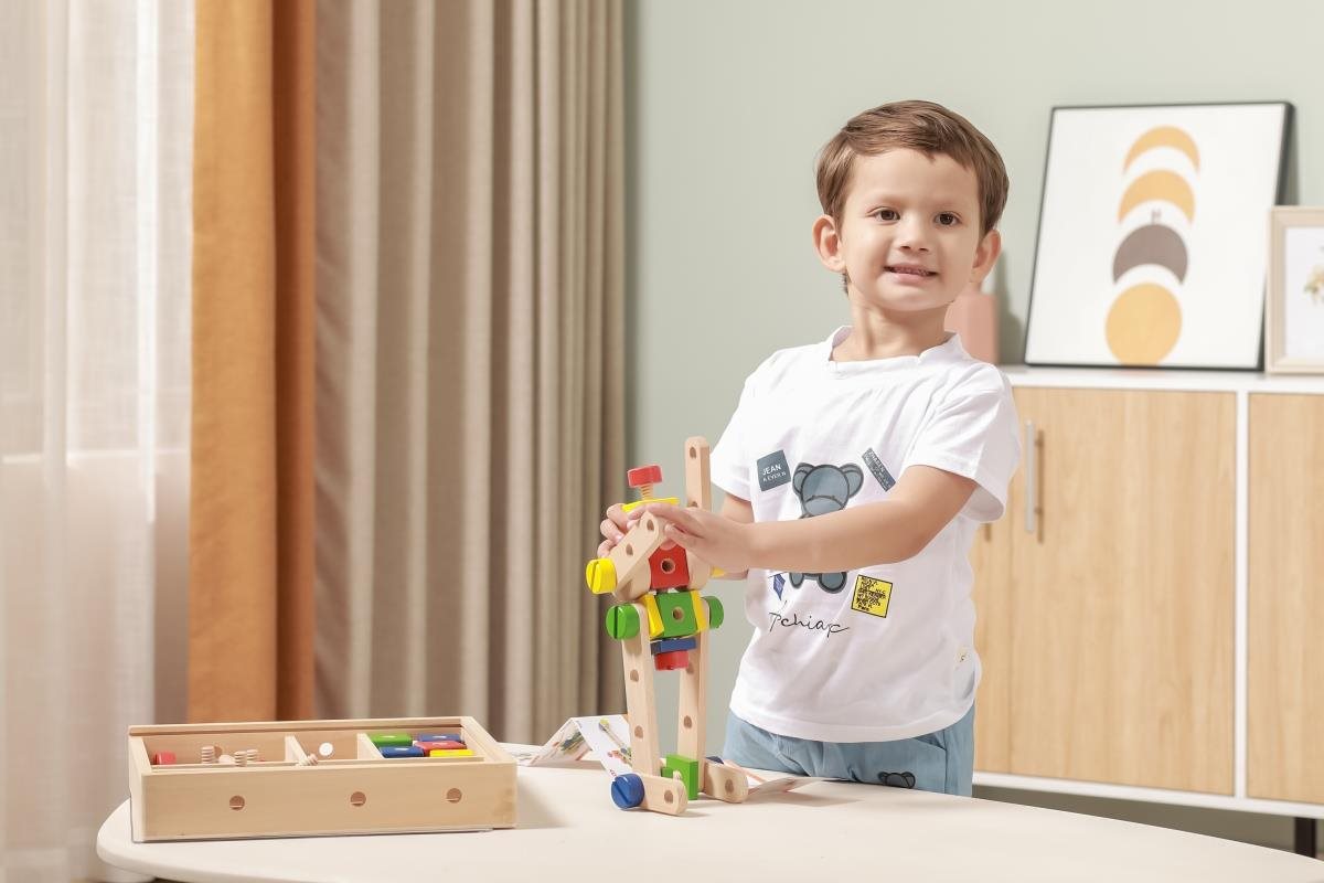Building Set Viga Designer ...