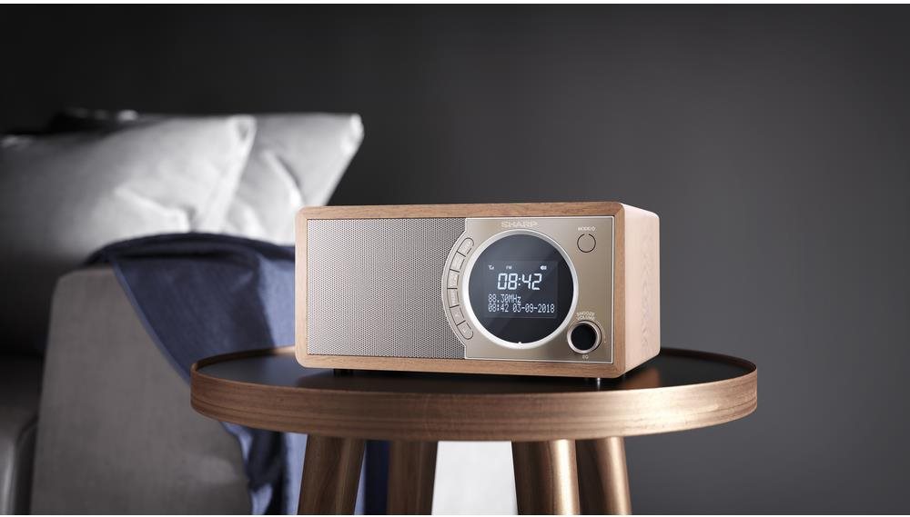 Radio Sharp DR-450BR Lifestyle