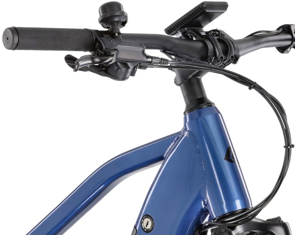 Electric bike Canull Profi 29