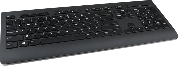 Keyboard Lenovo Professional Wireless Keyboard - SK ...