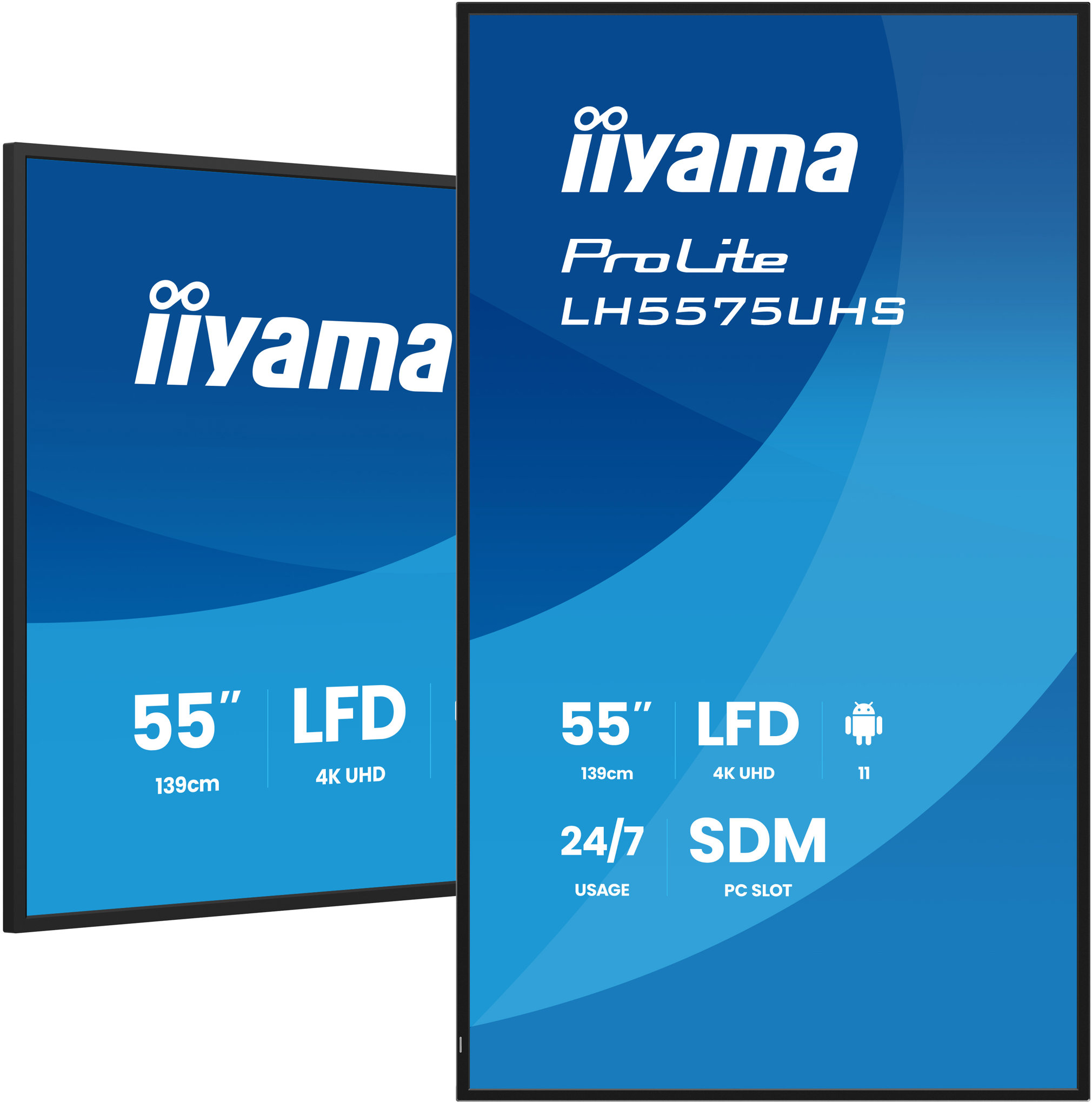 Large-Format Display 55