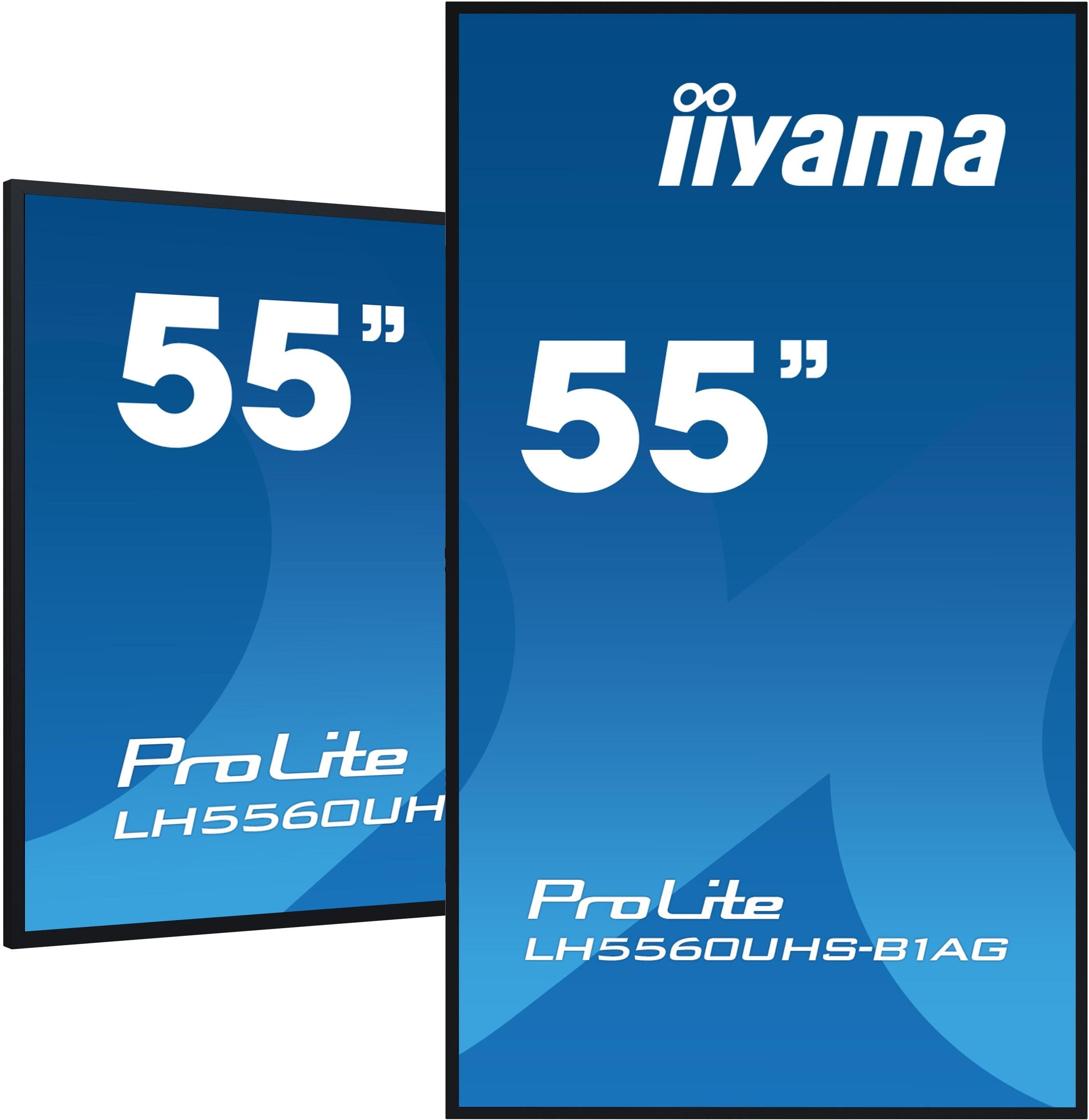 Large-Format Display 55