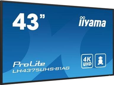 Large-Format Display 43