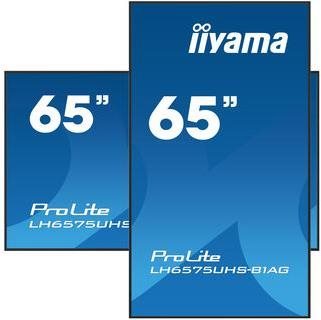 Large-Format Display 65