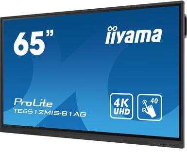 Large-Format Display 65