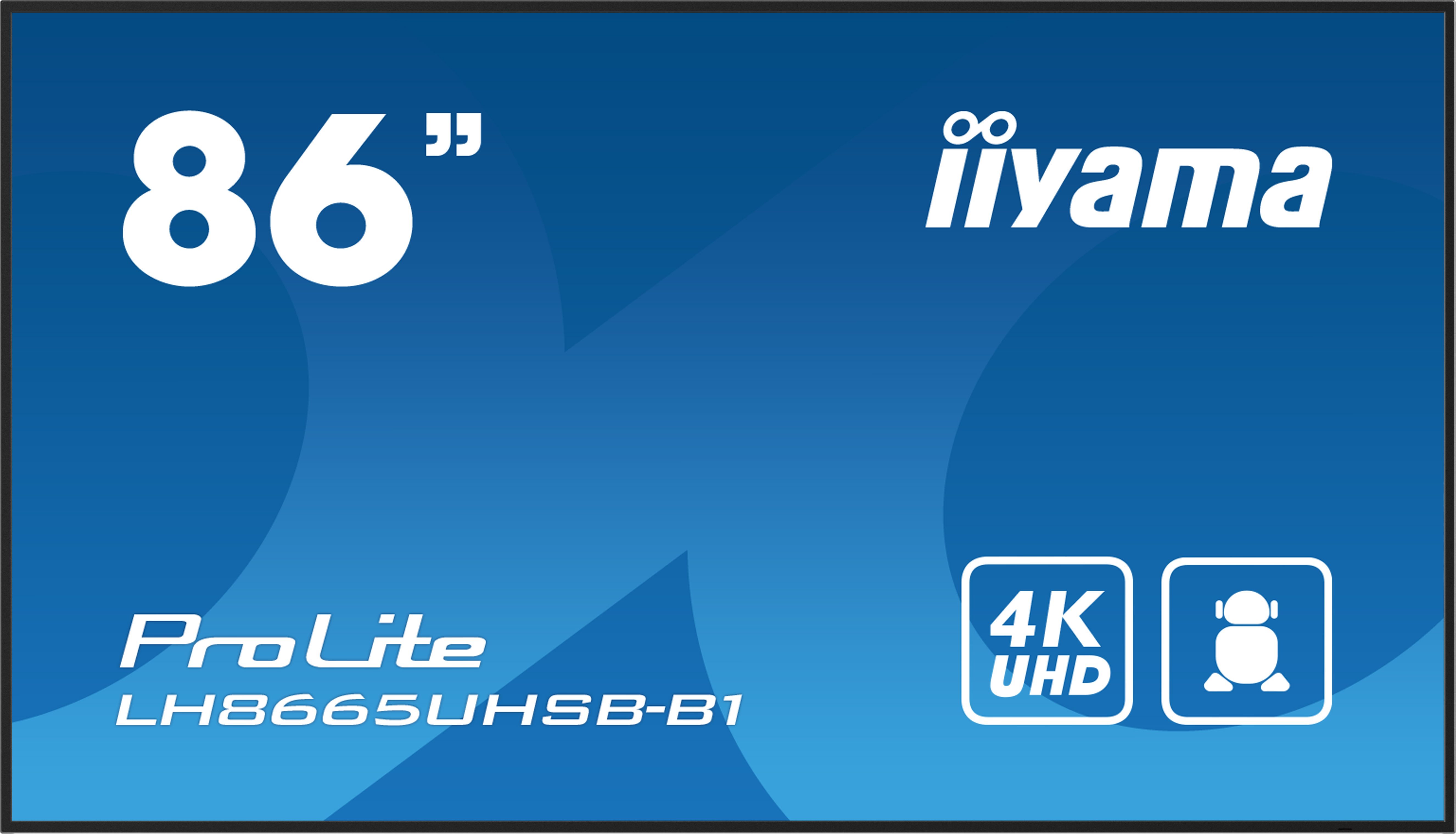 Large-Format Display 86
