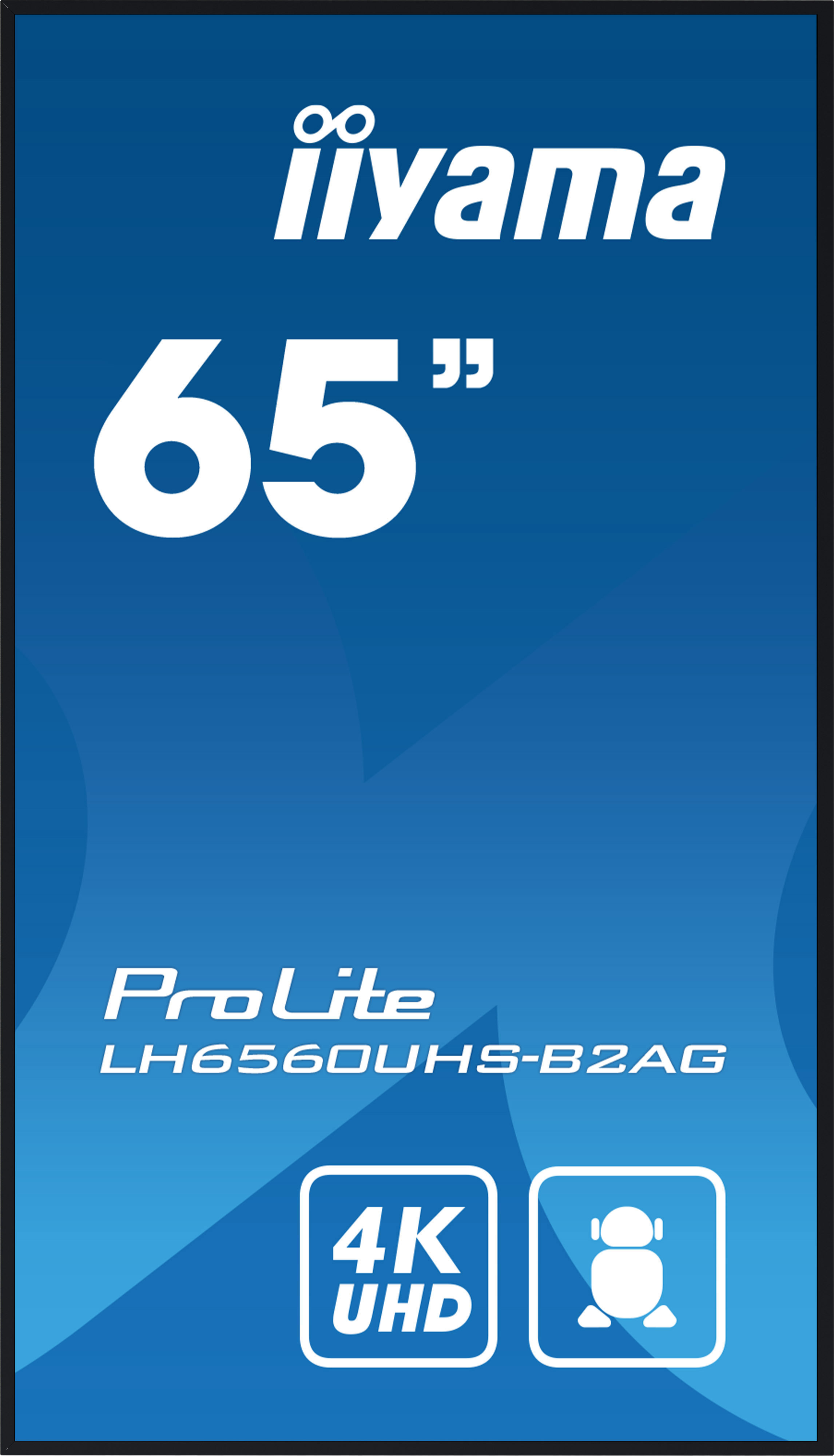 Large-Format Display 65