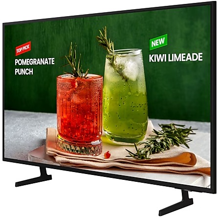 Large-Format Display 65