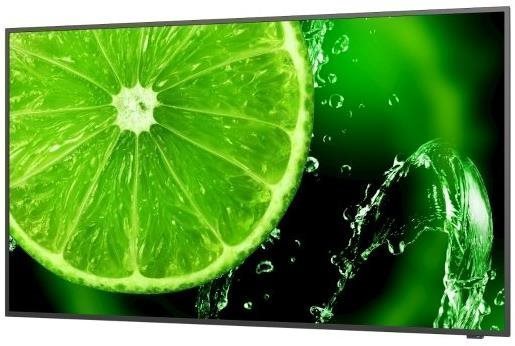 Large-Format Display 43