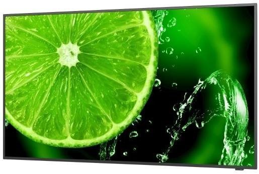 Large-Format Display 49