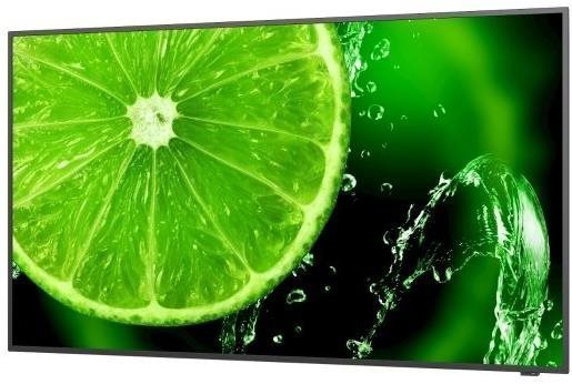 Large-Format Display 65
