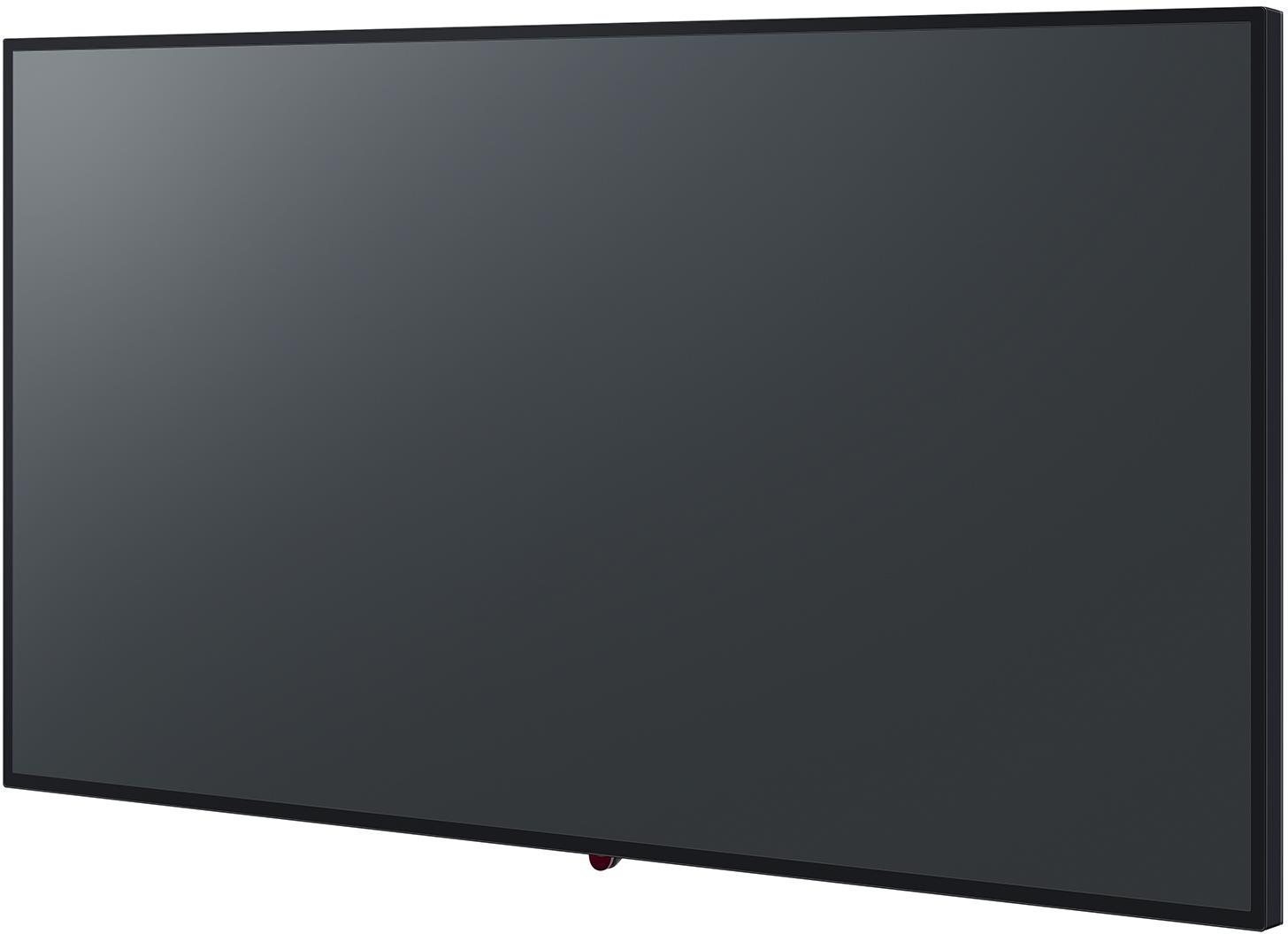 Large-Format Display 43