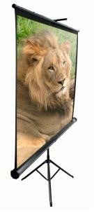 Projection Screen ELITE SCREENS, mobile tripod, 110