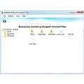zebNet® Backup for Chrome™ TNG - Small-Business License for up to 3 Computers - Hra na PC