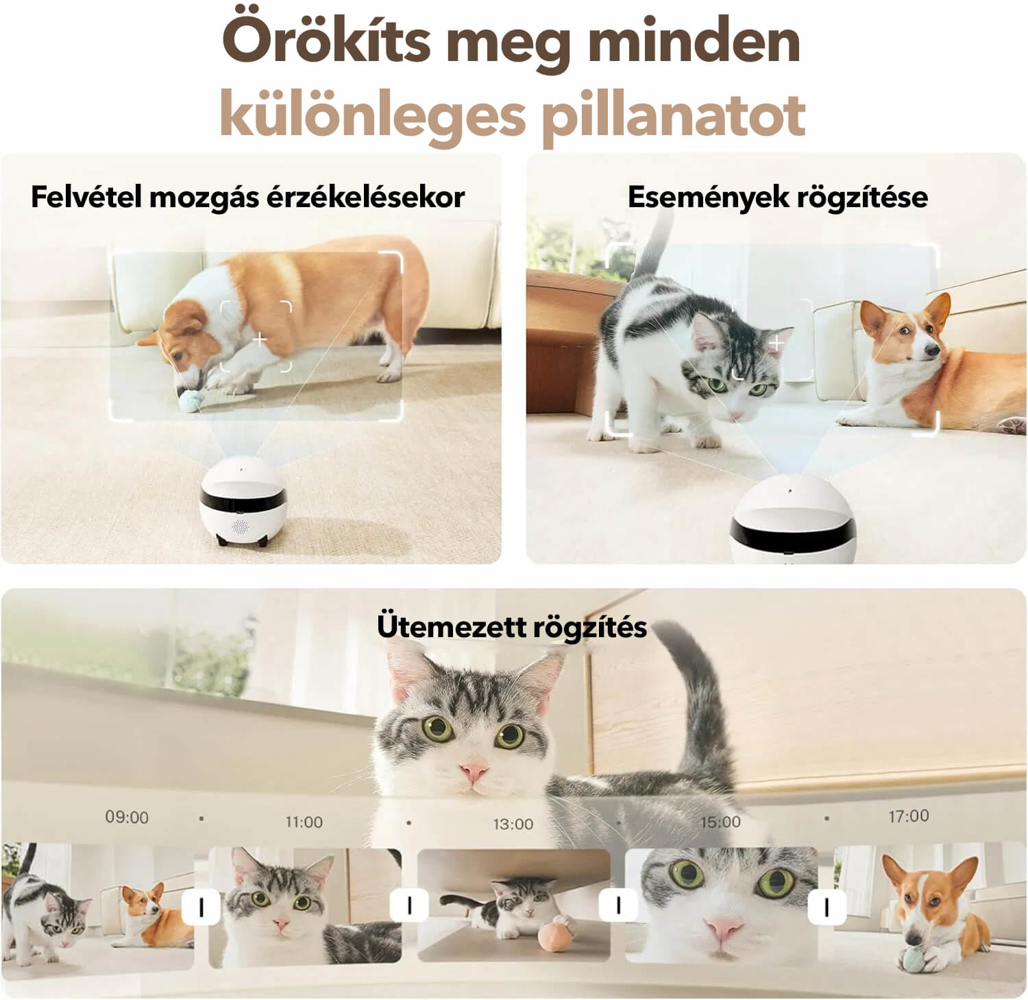 Enabot ROLA Mini robot - Robotikus társ 2K kamerával