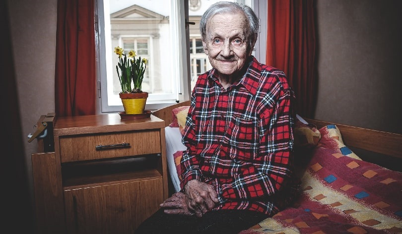 Život 90 
