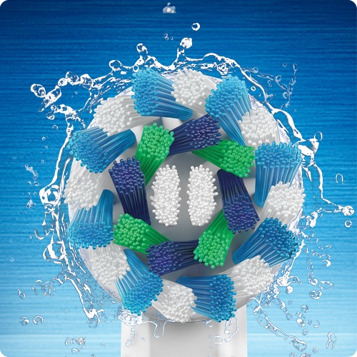 Oral B Oral B