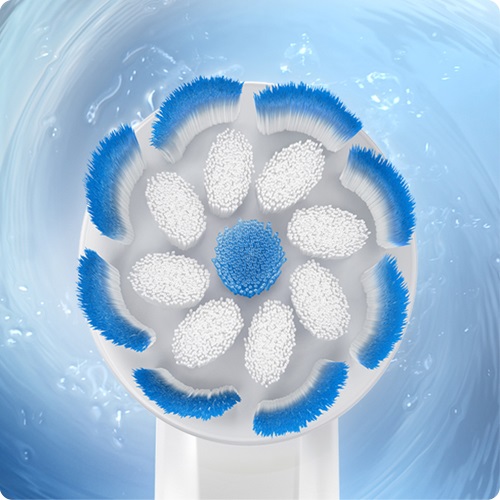 Oral B