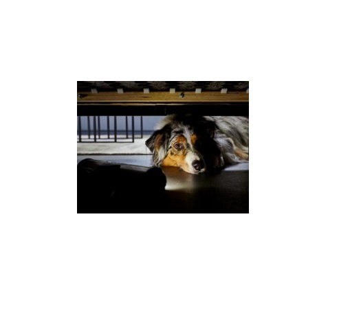 Tyčový vysavač Rowenta RH2078WO X-Force Flex 9.60 3v1 Animal Auto
