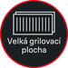 ikona