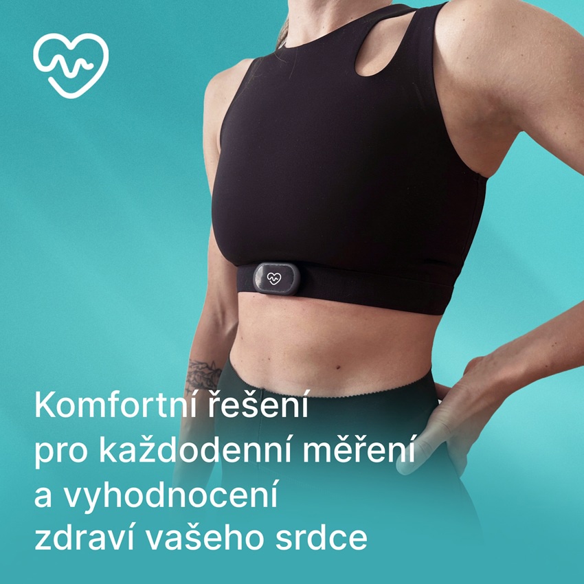 Kardi Ai