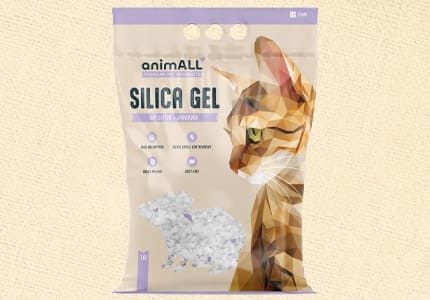 animALL – Kočičí koutek