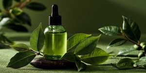 https://cdn.alza.cz/Foto/ImgGalery/Image/Article/6-tea-tree-olej.jpg