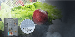 https://cdn.alza.cz/Foto/ImgGalery/Image/Article/Moist-balance-crisper.png