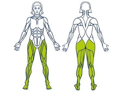 Co posiluje cyklotrenažér