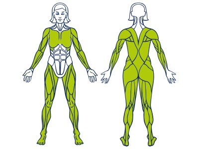 Co posiluje eliptical