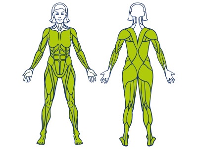 Co posiluje veslovací trenažér