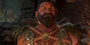 https://cdn.alza.cz/Foto/ImgGalery/Image/Article/baldurs-gate-3-druid-class-cover-nahled.jpg