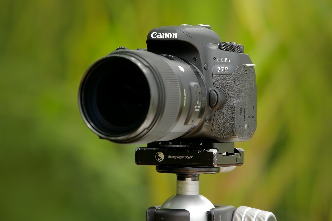 Canon EOS 77D zrcadlovka