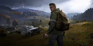 https://cdn.alza.cz/Foto/ImgGalery/Image/Article/dayz-game-nahled.jpg