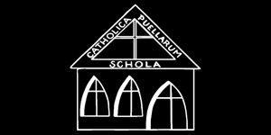 https://cdn.alza.cz/Foto/ImgGalery/Image/Article/divci-skola-logo.jpg