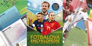 https://cdn.alza.cz/Foto/ImgGalery/Image/Article/fotbal.jpg
