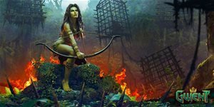 https://cdn.alza.cz/Foto/ImgGalery/Image/Article/gwent-for-android-nahled.jpg