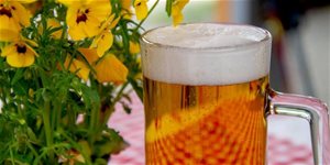 Pivo a vitamíny aneb je pivo zdravé?