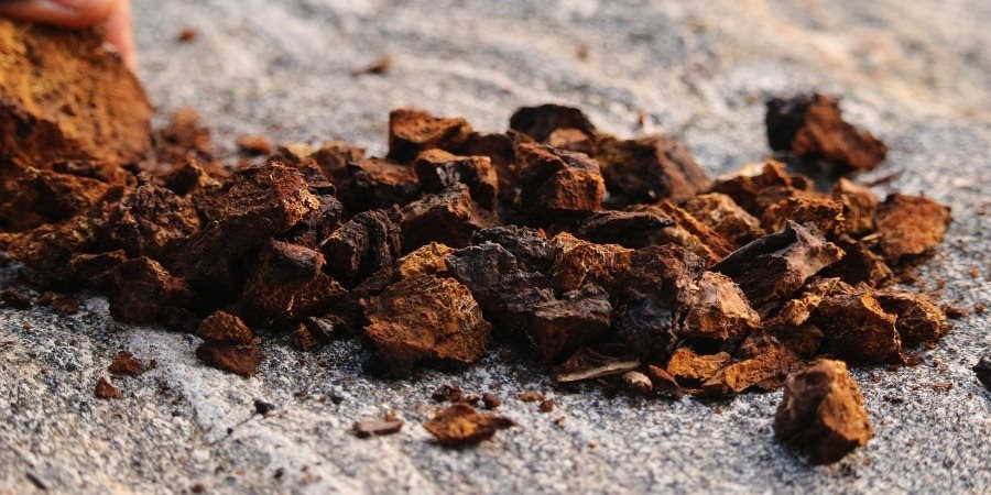 https://cdn.alza.cz/Foto/ImgGalery/Image/Article/lgthumb/caga.jpg