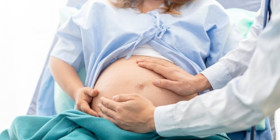 https://cdn.alza.cz/Foto/ImgGalery/Image/Article/lgthumb/dula.jpg