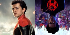 https://cdn.alza.cz/Foto/ImgGalery/Image/Article/peter-parker-miles-morales-movies-nahled.jpg