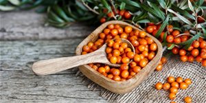 Vitamínová bomba s názvem rakytník řešetlákový